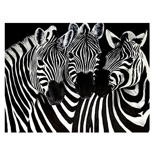 DIY 5D Diamant Malerei Kit Zebra Diamond Painting Bilder Vollbohrer Diamant Gemälde Malen Nach Zahlen Diamant Stickerei Leinwand Wall/Eingang/Büro Dekorationen Geschenk 30x40cm/12x16inch Round drill von SilkyShy