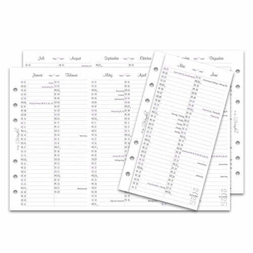 SinnWunder® 2025 Jahresübersicht Größe Personal – Stabile Kalendereinlage zum Ausklappen - Jahreskalender - Leporello - 6-fach Ringbuch-Lochung von SinnWunder