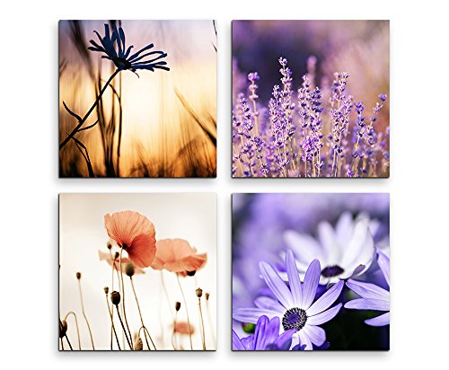 Sinus Art 4 Bilder Set je 40x40cm Mohnblume Lavendel Makroaufnahme Gerbera Sommer von Sinus Art