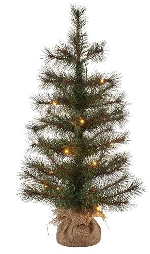 Sirius LED Tanne Alvin Tree 20 LED 60cm batteriebetrieben außen von Sirius