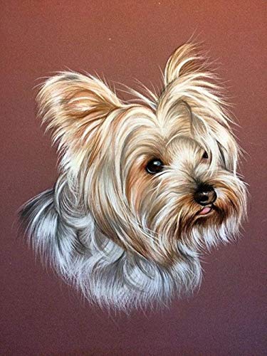 DIY 5D Diamond Painting nach Anzahl Kits Cute Yorkshire Terrier Runde Full Drill Diamond Painting Kits Perfekte Kunsthandwerk für Home Wall Decor Diamond Painting 40×50 cm von Siyse