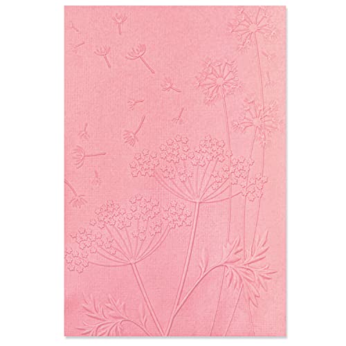 Sizzix Embossing Folder by Chapter Sizzx 3-D Textured Impressions Prägeschablone Summer Wishes von Kath Breen | 665763 | Kapitel 3 2022, PP-Kunststoff, Multicolour, One Size von Sizzix