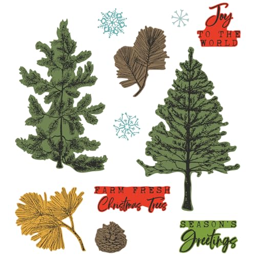 Sizzix Transparente Stempel mit Rahmen, A5, Motiv: Pine Holidays by 49 and Market von Sizzix