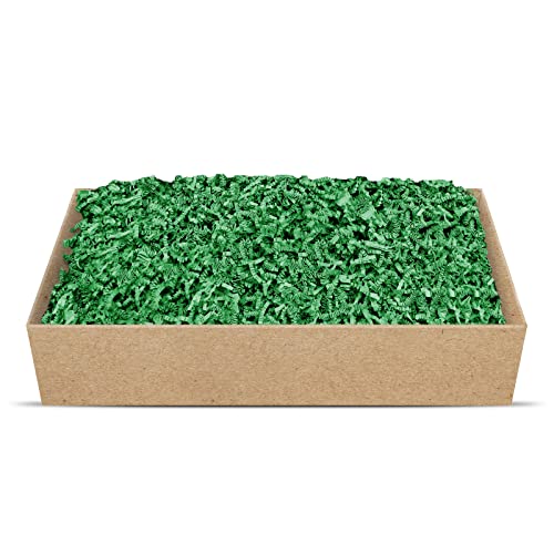 SizzlePak Geschenkfüllmaterial Umweltfreundliches Geschenkverpackungsmaterial viele Farben 125g-1kg (Green, 500g) von SizzlePak