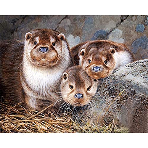 Sjawnv Malen nach Zahlen Otter Kit für Erwachsene Kinder Anfänger DIY Leinwand Malen nach Zahlen für 30x40cm Kein Rahmen von Sjawnv