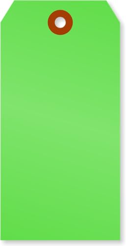 SmartSign Fluoreszierende grüne Etiketten mit vorgestanztem Loch, 100 Stück, 12,1 x 6 cm, Größe #5, 13 pt dicke Blanko-Etiketten mit verstärktem Faser-Patch, Kartonanhänger für Preise, Handwerk, von SmartSign