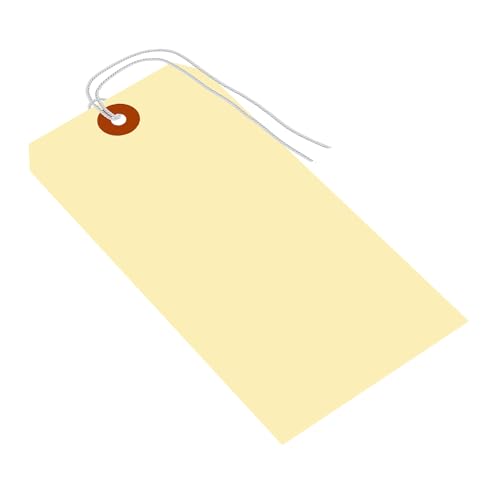 SmartSign Leere Manila-Etiketten mit Schnur (vormontiert), 1000 Stück, Größe 8, 10pt dicker Karton, Versandanhänger mit 6,35 mm Öse, 15,9 x 7,9 cm Papieranhänger mit verstärktem Faser-Patch von SmartSign