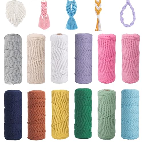 12PCS Makramee Garn, 1mm x 65m Bunt Baumwollseil, Natur Baumwolle Makramee Baumwollgarn Baumwollkordel für DIY Handwerk, Hängepflanze,Blumenampel, Basteln Stricken Boho Deko Wandbehang Dekoration von Smgbway