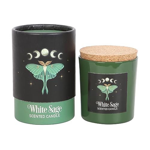 Luna Motte Weißer Salbei Kerze – Heilige Kreaturen in dunklen Waldreichen | veganes Paraffinwachs | 25 Stunden Brenndauer | beruhigende Aromatherapie für Zuhause Luna Motte Weißer Salbei Kerze – Heilige Kreaturen in dunklen Waldreichen | veganes Paraffinwachs | 25 Stunden Brenndauer | beruhigende Aromatherapie für Zuhause von Something Different Wholesale
