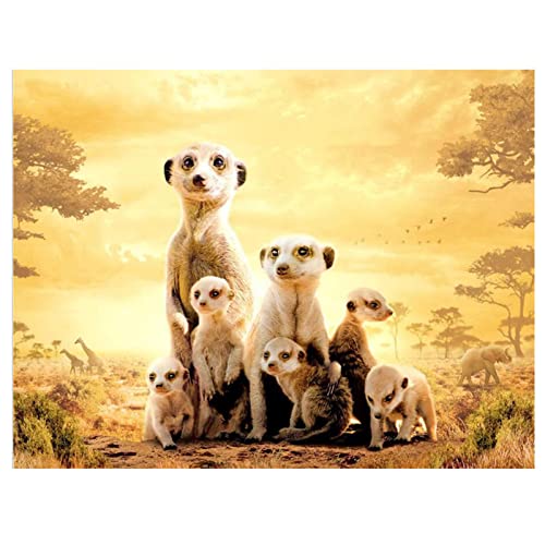 DIY 5D Diamond Painting Set für Kinder/Erwachsene Erdmännchen-Familie Diamant Painting Bilder Full Drill Kristall Stickerei Kunsthandwerk für Home Wand Dekorationen Geschenk Round Drill 25x30cm von SongYww