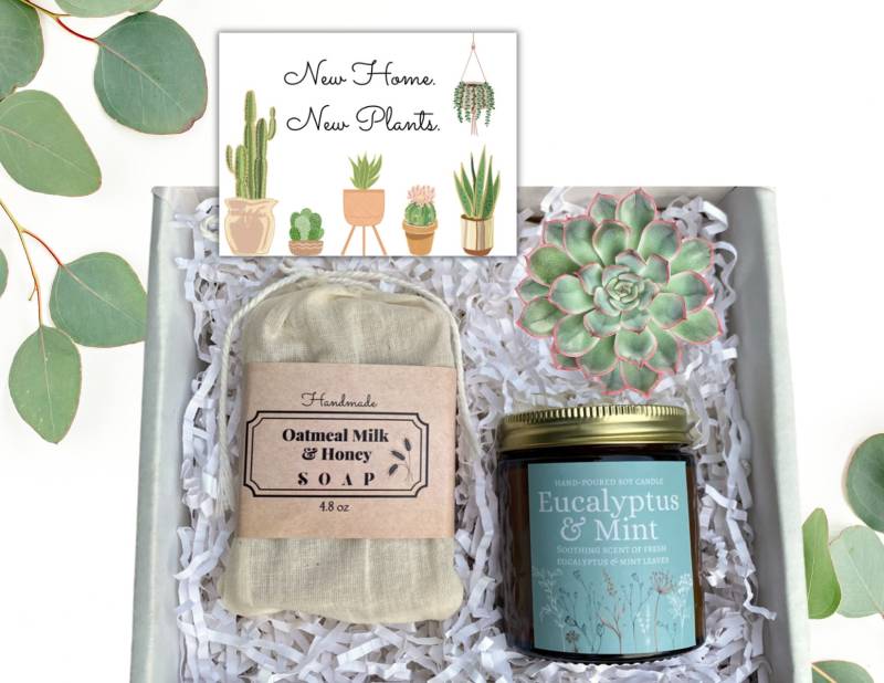 Neues Zuhause Sukkulenten Geschenkbox - Herzlichen Glückwunsch Neue Pflanzen Selbstfürsorgeset Für Das Neue von SoulSisterGiftsCo