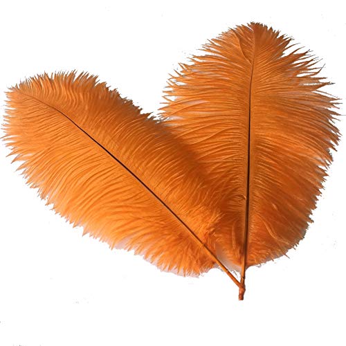 Sowder Straußenfedern, Federn, für Hochzeit, Heimdekoration, 35–40 cm, Orange, 10 Stück von Sowder