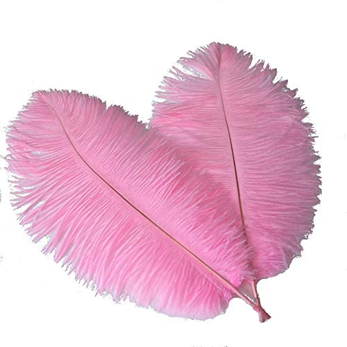 Sowder Straußenfedern, Federn, für Hochzeit, Heimdekoration, 35–40 cm, 10 Stück (Rosa) von Sowder