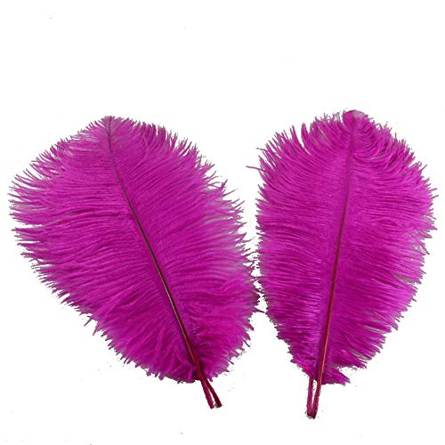 Sowder 5pcs Strauß-Federn 16-18inch (40-45cm) für Haupthochzeits-Dekoration(fuchsia) von Sowder