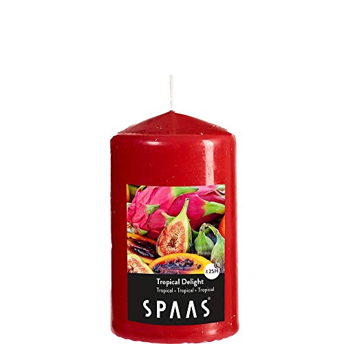 Spaas 12 Duft-Stumpenkerzen Zylinder Paraffinwachs True Red D 60 mm H 100 mm von Spaas