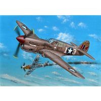 P-40K-1/5 Warhawk von Special Hobby