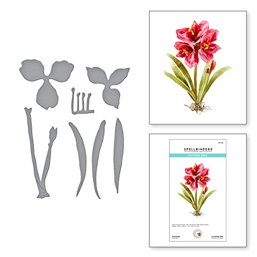 Spellbinders Amaryllis Stanzformen, Metall von Spellbinders