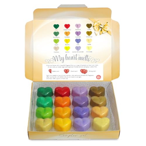 Verschiedene Wachsschmelz-Geschenk-Set – 16 x 6 g verschiedene Wachsschmelzdüfte zum Ausprobieren, inklusive – Kiefer, Kaffee, Eukalyptus, Kürbis, Lavendel, Flieder, Apfel, Flieder, Vanille, von Spotless Leopard