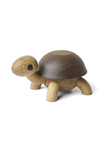 Spring Copenhagen Speedy, die neugierige Baby-Schildkröte - Dekorative Holzfigur und Aufbewahrungsbox von Spring Copenhagen