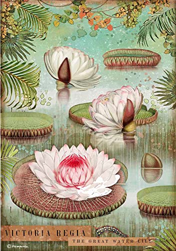 Stamperia DFSA4529 A4 Reispapier verpackt - Amazonia water lily, Papier, Mehrfarbig von Stamperia