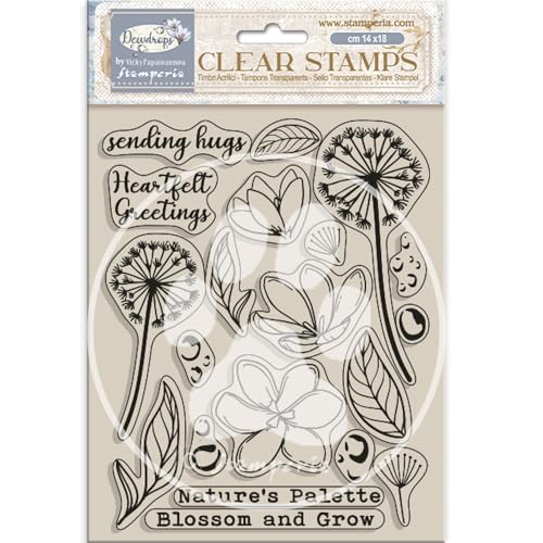 Stamperia WTK207 Acrylic Stamp, Clear, One Size von Stamperia