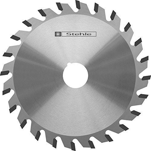 Ritz-Kreissägeblatt 100x3,2-4,0x20 Z20 Konisch-Flachzahn - nn-System Hartmetall von Stehle