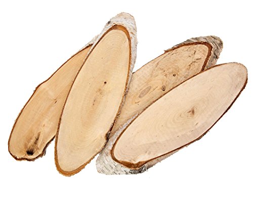 Birkenscheiben Oval Ca. 25-30cm (4 Stück), Holz, Natur von Steingaesser