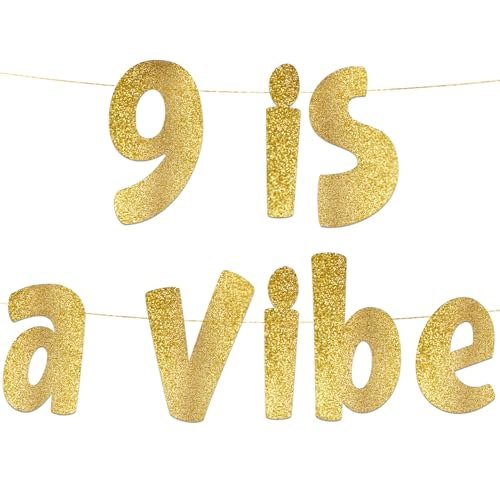 9 is a Vibe Gold Glitter Banner - 9th Birthday Party Supplies, Ideen, Gifts and Decorations von Sterling James Co.