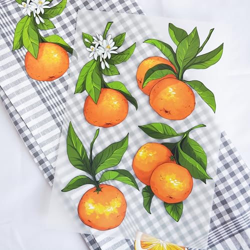 Bügelbilder Orangen Set für Textilien, DIN A4 mit Bügelvlies zum Aufbügeln | Dekoration Stoffreparatur von T-Shirts, Hoodies, Jeans | Patches für Kinder, Erwachsene, Familie von Stickly
