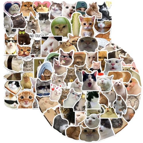 Lustiges Katzen Aufkleber,100 Stück Meme Niedliche Wasserfeste Tier Aesthetic PVC Sticker für Laptop Wasserflasche Auto Telefon Skateboard für Jugendliche Kinder Erwachsene Katzenliebhaber von StoGer