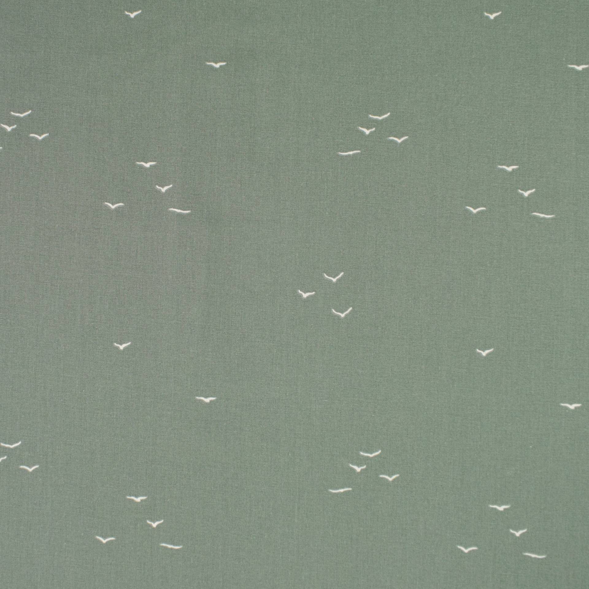 Baumwoll Popeline Swallows, blassgrün Baumwoll Popeline Swallows, blassgrün von Stoffe Hemmers