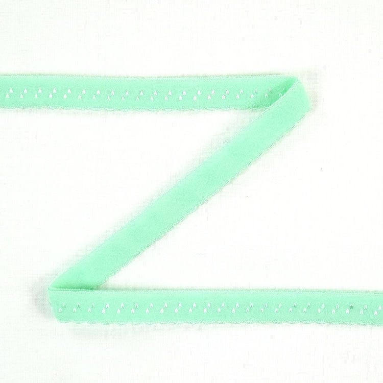 Elastisches Spitzen Einfassband mit Stickerei, mintgrün 12 mm von Stoffe Hemmers