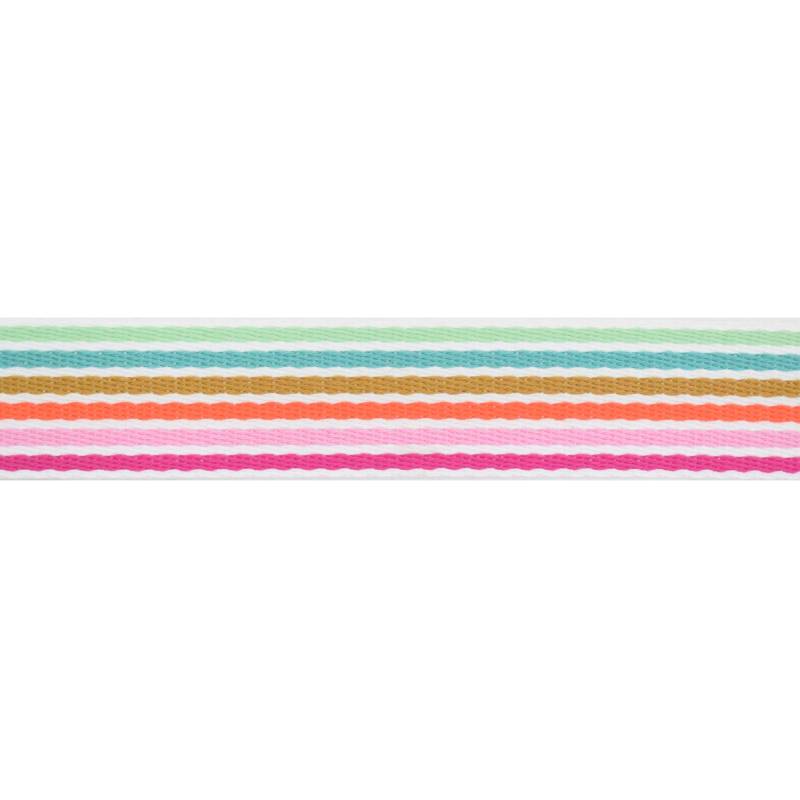 Gurtband Rainbowstripes 38mm, multicolor von Stoffe Hemmers