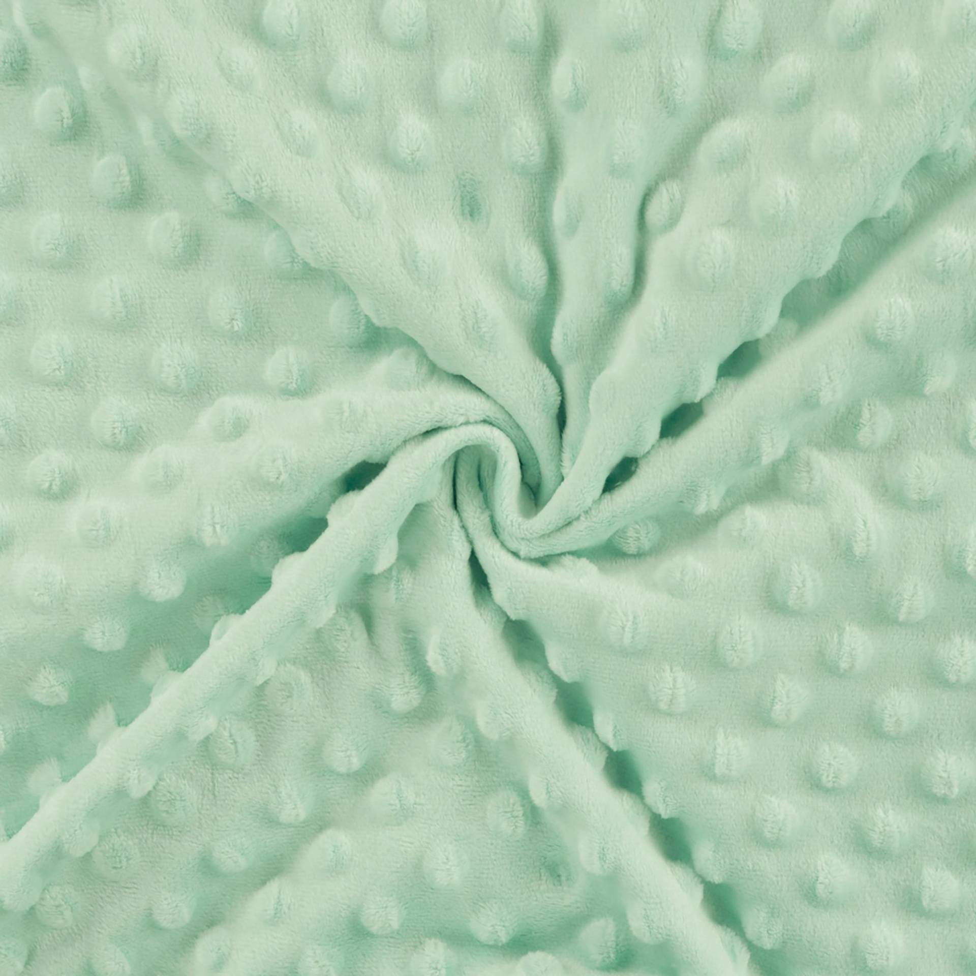 Kuschelfleece Minky Dots, mint von Stoffe Hemmers