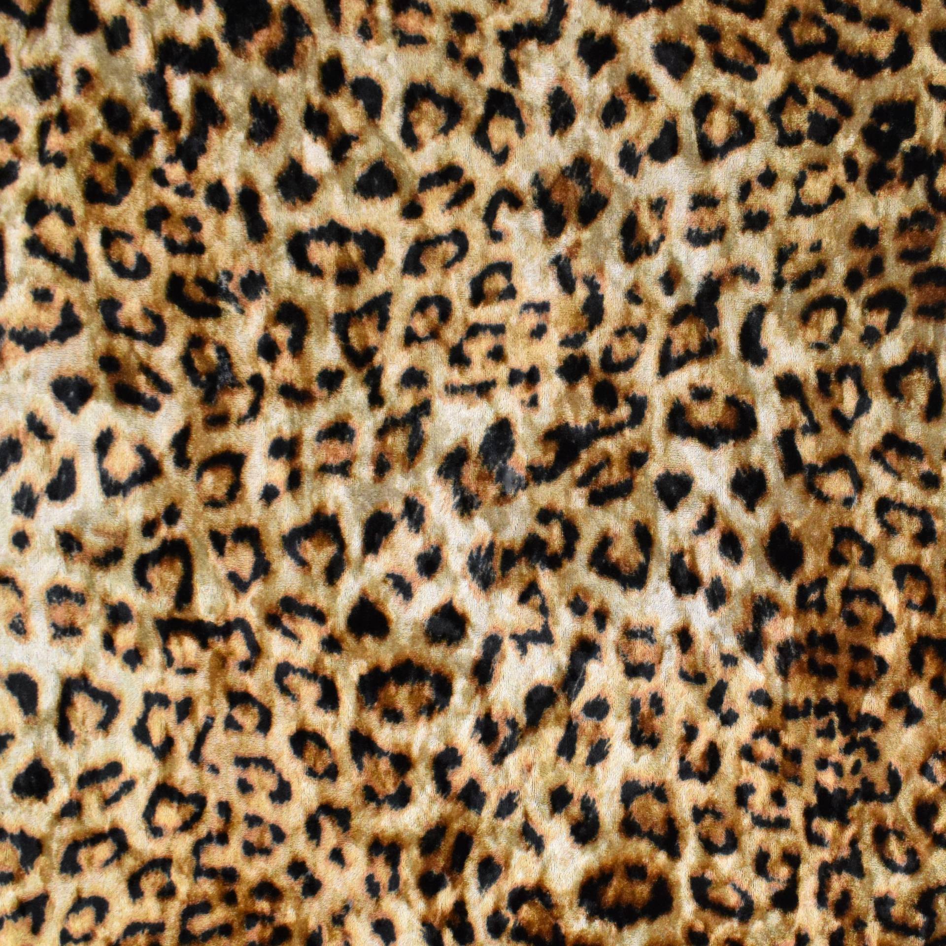 Stretchsamt Velour Leopard, braun von Stoffe Hemmers