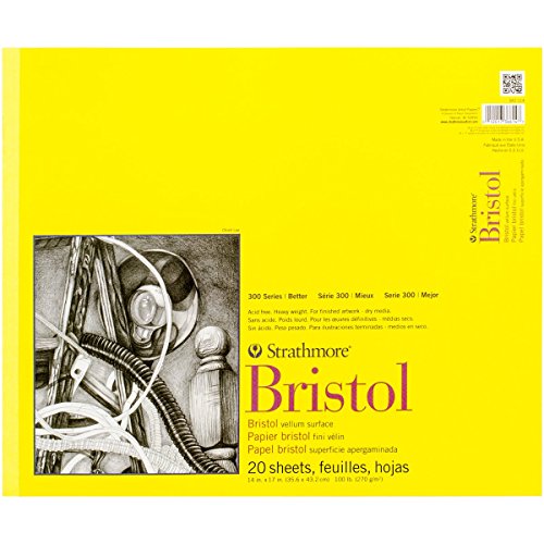 Strathmore 300 Series Bristol Pergamentpapier, 35,6 x 43,2 cm, 20 Blatt, Papier, 14x17 von Strathmore