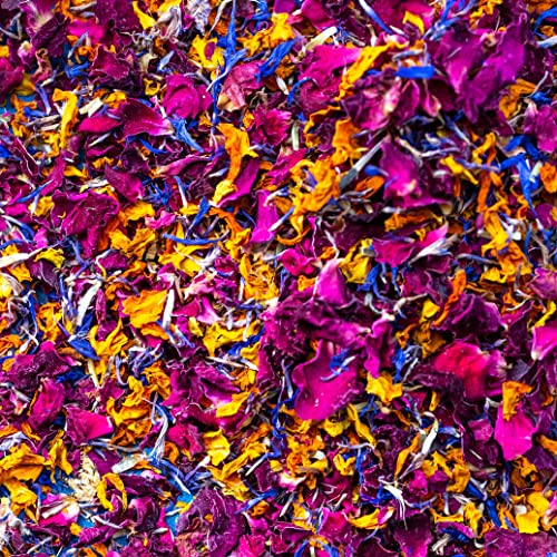 'Marokkanische Flamme' 1 Liter Burgunderrotes Rosen-, orangefarbenes Ringelblumen- und blaues Kornblumen-Hochzeitskonfetti Ökologisch biologisch abbaubare natürliche Blütenblätter (330) von Stripey Finds