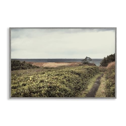 Stupell Industries Andy Amos, gerahmtes Giclée-Wandbild, Motiv: Serene Coastal Pathway, Grau, 76,2 x 50,8 cm von Stupell Industries