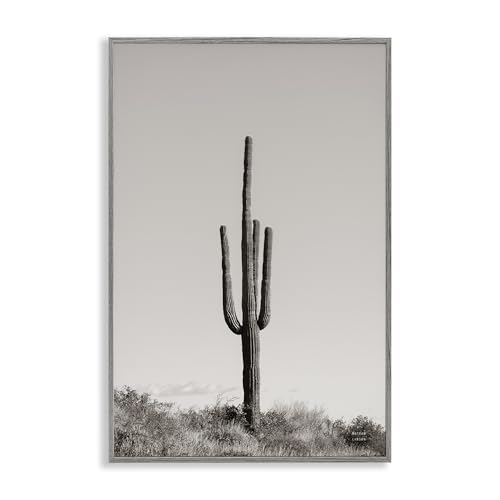 Stupell Industries Clear Afternoon Cactus Giclée-Wandkunst, gerahmt, Design von Nathan Larson, 30,5 x 45,7 cm, Grau von Stupell Industries