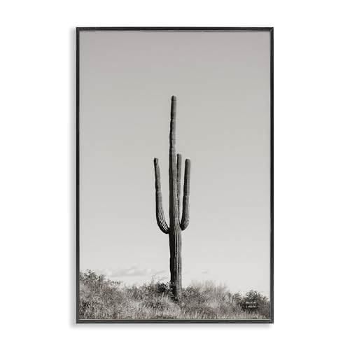 Stupell Industries Clear Afternoon Cactus Giclée-Wandkunst, gerahmt, Design von Nathan Larson, 40,6 x 61 cm, Schwarz von Stupell Industries