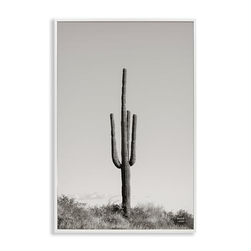 Stupell Industries Clear Afternoon Cactus White Gerahmter Giclée-Wandkunst, Design von Nathan Larson, 30,5 x 45,7 cm von Stupell Industries