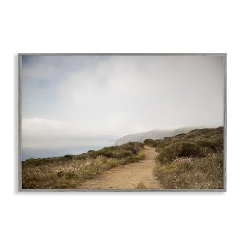 Stupell Industries Crystal Lynn Collins, Motiv: Wild Coast Pathway, gerahmt, Giclée-Wandkunst, 45,7 x 30,5 cm, Grau von Stupell Industries