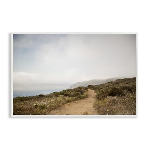 Stupell Industries Crystal Lynn Collins Wild Coast Pathway Giclée-Wandkunst, gerahmt, Weiß, 76,2 x 50,8 cm von Stupell Industries