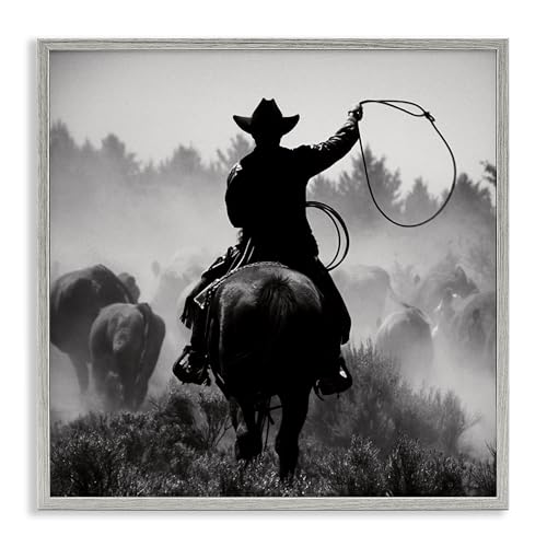 Stupell Industries Danita Delimont Giclée-Wandkunst, Motiv Cowboy Swinging Lasso, gerahmt, Grau, 61 x 61 cm von Stupell Industries