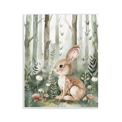 Stupell Industries LSR Design Studio Wandschild mit weichem Woodland Bunny Design, 28,9 x 35,6 cm von Stupell Industries