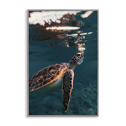 Stupell Industries Max Blakesberg Studios Giclée-Wandkunst, Motiv Blowing Bubbles Turtle, gerahmt, Grau, 50,8 x 76,2 cm von Stupell Industries