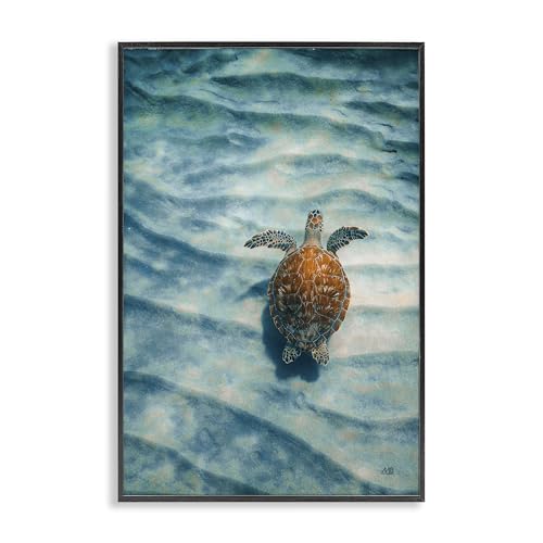 Stupell Industries Max Blakesberg Studios Giclée-Wandkunst, Schildkröte entlang Rippling Sand, gerahmt, Schwarz, 40,6 x 61 cm von Stupell Industries