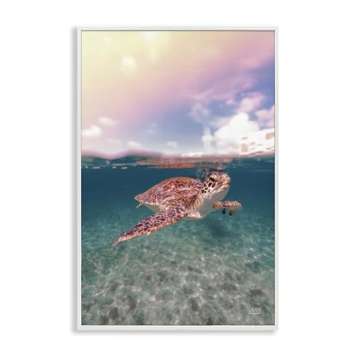 Stupell Industries Max Blakesberg Studios Giclée-Wandkunst, gerahmt, Motiv Above & Below Sea Turtle, gerahmt, 50,8 x 76,2 cm, Weiß von Stupell Industries