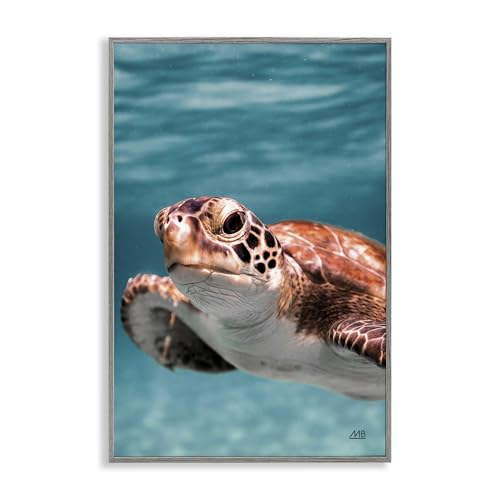 Stupell Industries Max Blakesberg Studios Giclée-Wandkunst, gerahmt, Motiv: Unterwasserschildkröte, gerahmt, 30,5 x 45,7 cm, Grau von Stupell Industries