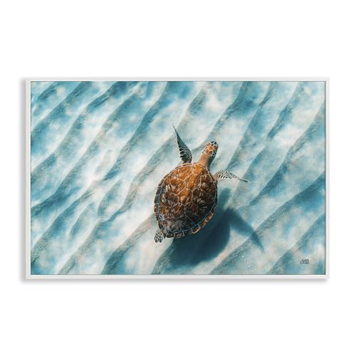 Stupell Industries Max Blakesberg Studios Sandbar Meeresschildkröte Giclée-Wandkunst, gerahmt, Weiß, 76,2 x 50,8 cm von Stupell Industries